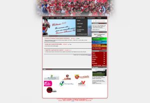 Illustration "Chateau de Carcassonne"